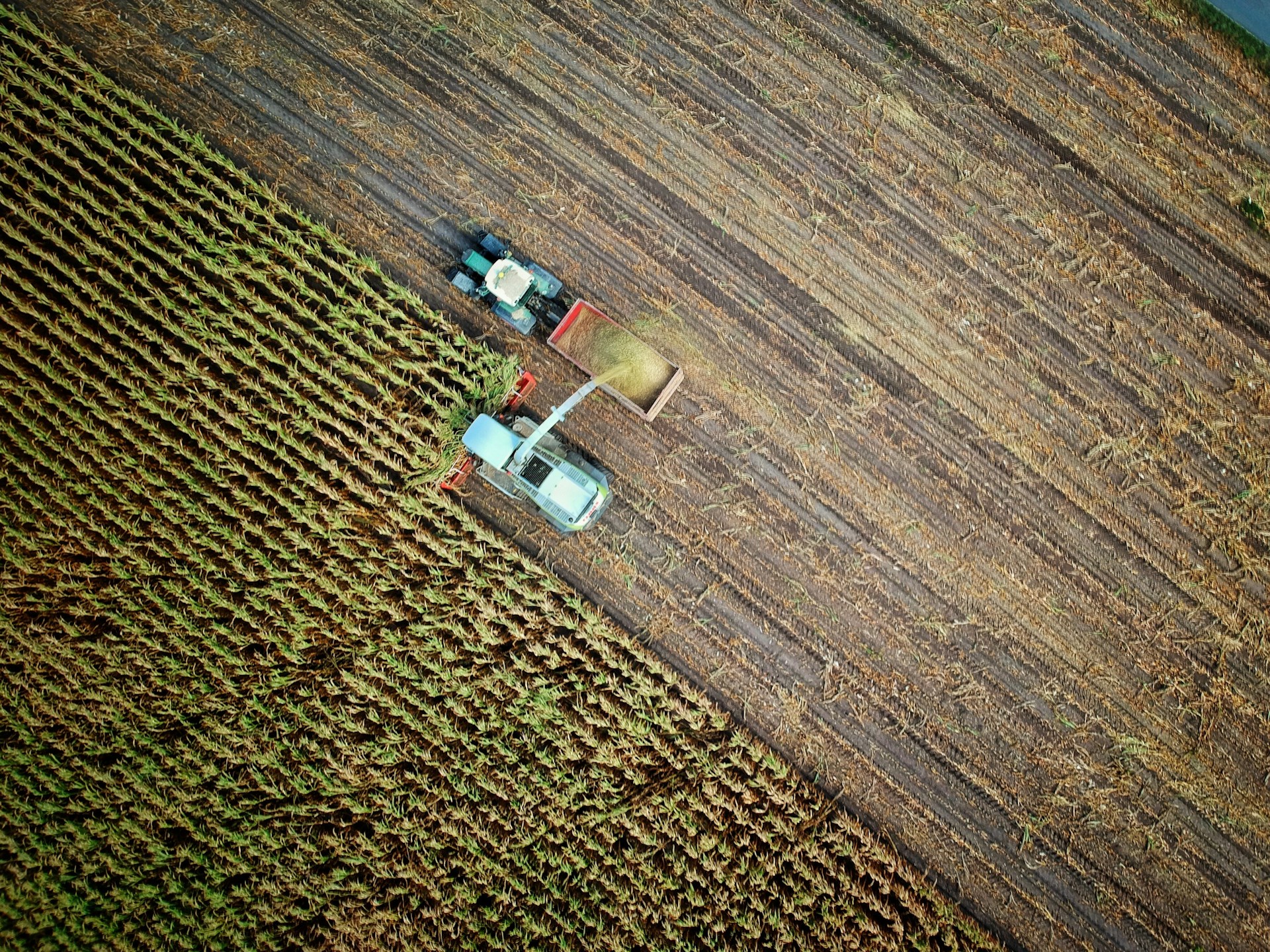 Agricultural commodities and grains